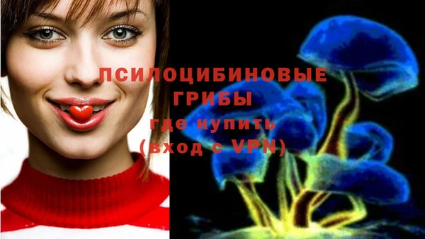 прущий лед Белокуриха