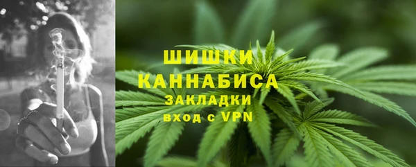 прущий лед Белокуриха