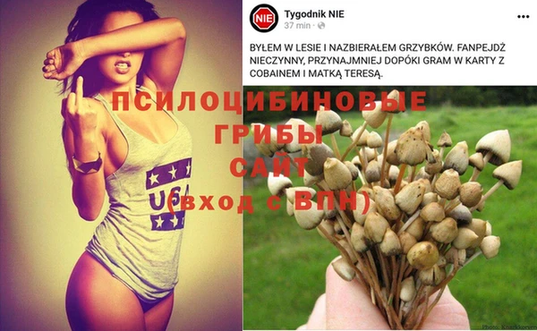 mdma Богданович