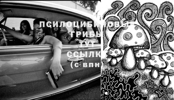 хмурый Беломорск