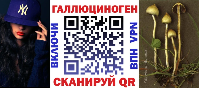 купить наркотик  Балабаново  Псилоцибиновые грибы мицелий 