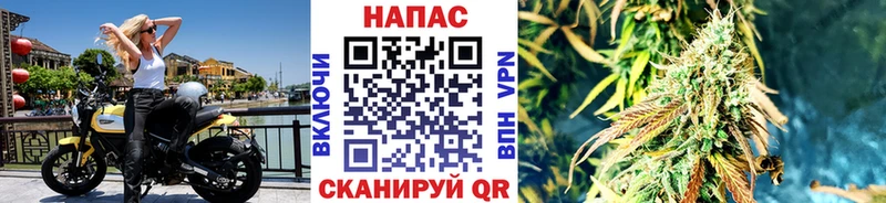 Канабис план  Балабаново 